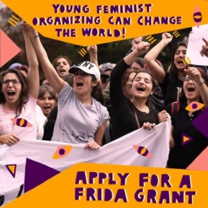 Frida Young Feminist Fund 2021 For Young Feminist Activists