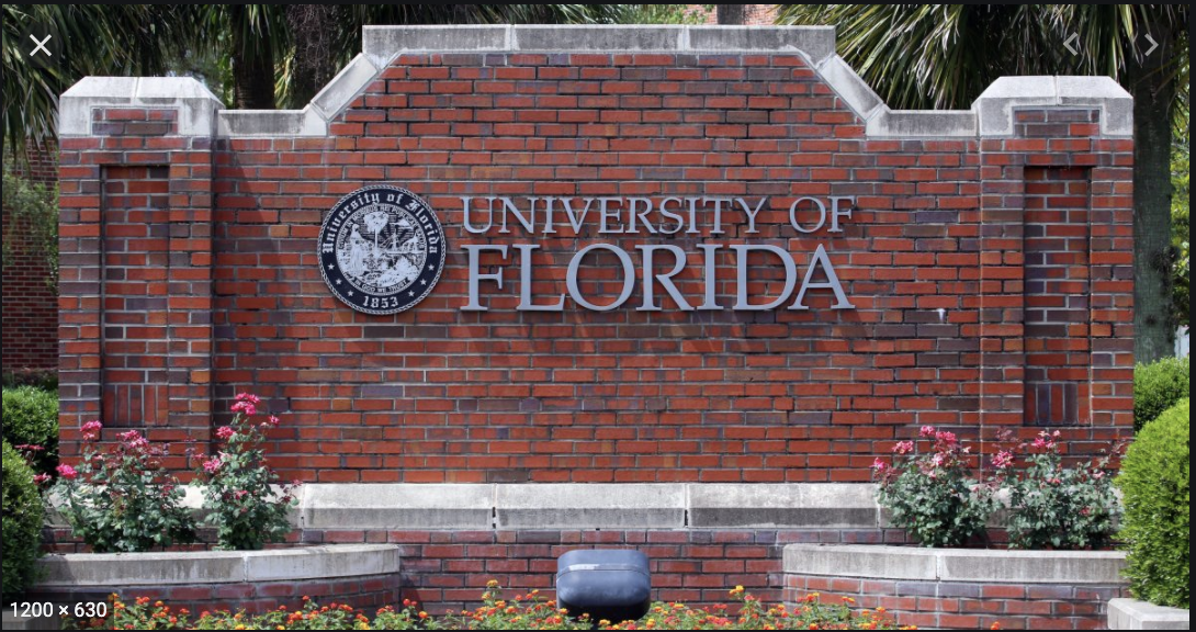 University of Florida scholarship opportunities 2021