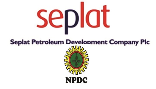NPDC/SEPLAT Undergraduate Scholarship 2022 and how to apply