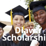 Diawa scholarship