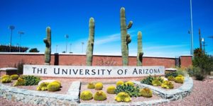 Study at the university of Arizona