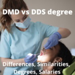 DMD vs DDS degree