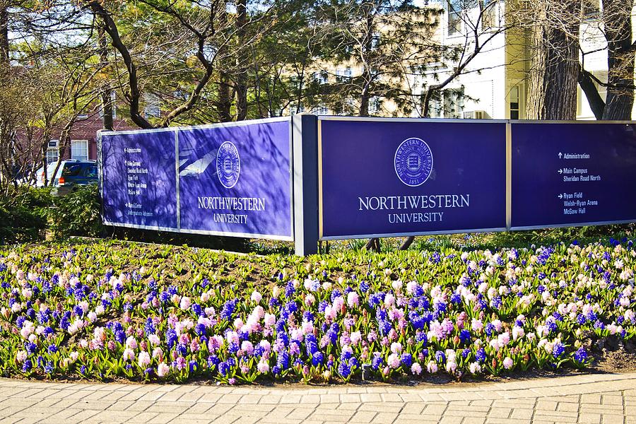 Northwestern University Acceptance Rate In 2021 | Admission Requirements |  XScholarship : XScholarship