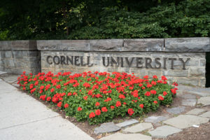 Cornell university acceptance rate in 2021