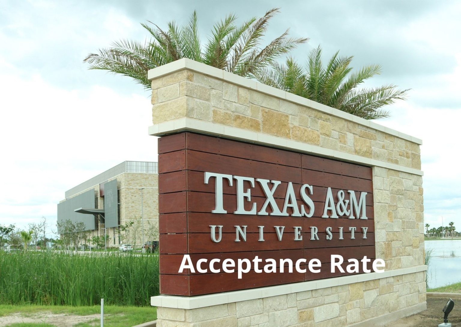 Texas A&M University Acceptance Rate 2021 XScholarship