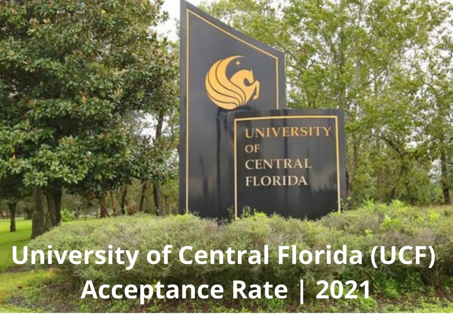 University of Central Florida (UCF) Acceptance Rate 2021 xScholarship