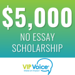 VIP Voice Scholarship 2023