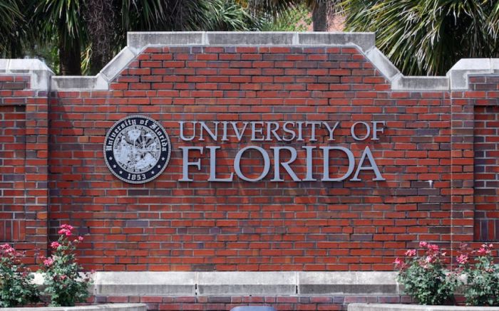 University of Florida Acceptance Rate in 2021 | XScholarship : XScholarship