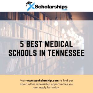 5 Best Medical Schools in Tennessee