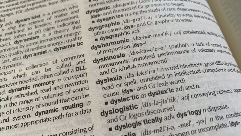 America’s Best Schools for Students With Dyslexia