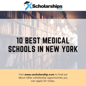 Best medical schools in New York