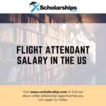 Flight Attendant Salary in the US