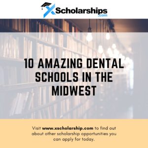 Discover the 10 Amazing Dental Schools in the Midwest