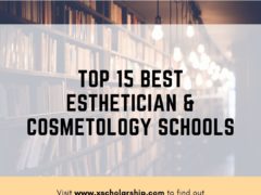 Here Are the Top 15 Best Esthetician & Cosmetology Schools in the US