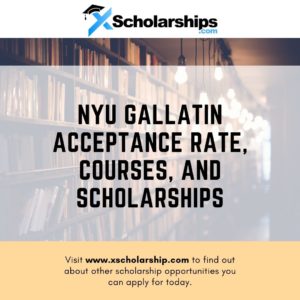 NYU Gallatin Acceptance Rate, Courses, and Scholarships