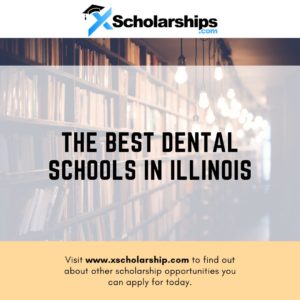 The Best Dental Schools in Illinois