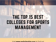 The Top 15 Best Colleges for Sports Management