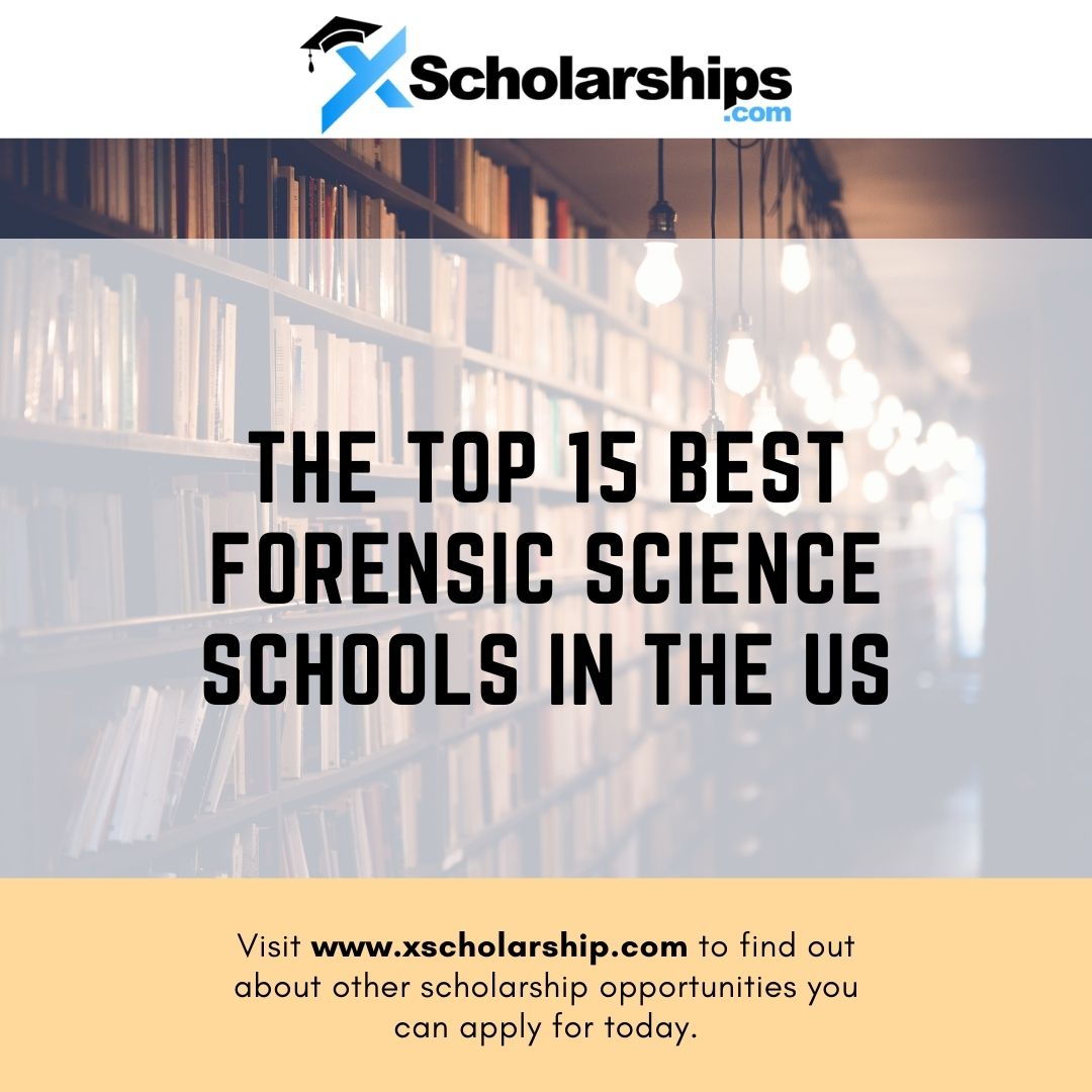 schools that offer phd in forensic psychology