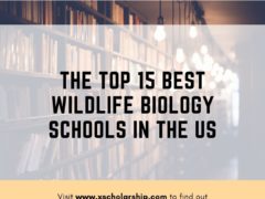 The Top 15 Best Wildlife Biology Schools in the US in 2022