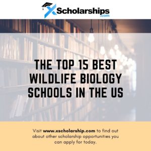 The Top 15 Best Wildlife Biology Schools in the US