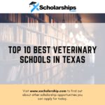 Top 10 Best Veterinary Schools in Texas