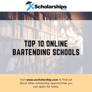 Top 10 Online Bartending Schools
