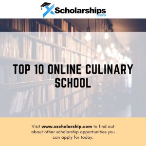 Top 10 Online Culinary School