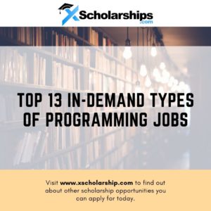 Top 13 In-Demand Types of Programming Jobs