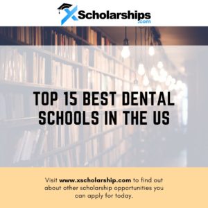 Best Dental Schools In the US