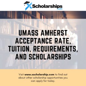 UMass Amherst – Acceptance Rate, Tuition, Requirements, and Scholarships