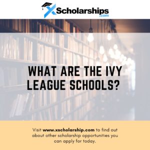 What Are the Ivy League Schools