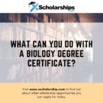 What can you do with a biology degree certificate