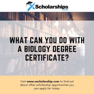O que você pode fazer com um certificado de graduação em biologia