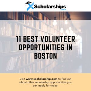 11 Best Volunteer Opportunities in Boston