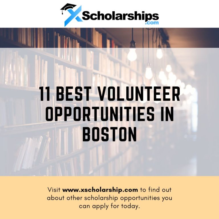 11 Best Volunteer Opportunities in Boston xScholarship