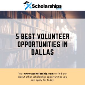 5 Best Volunteer Opportunities in Dallas