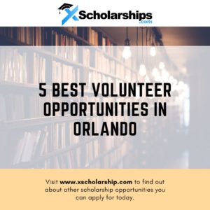 5 Best Volunteer Opportunities in Orlando