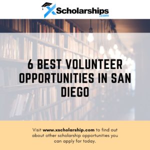 6 Best Volunteer Opportunities in San Diego