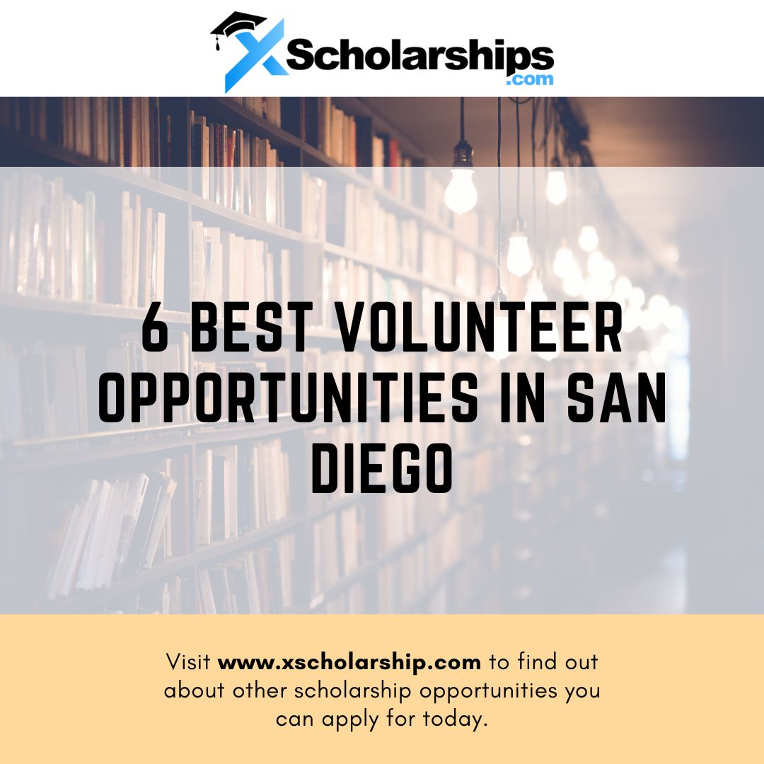 6 Best Volunteer Opportunities in San Diego xScholarship