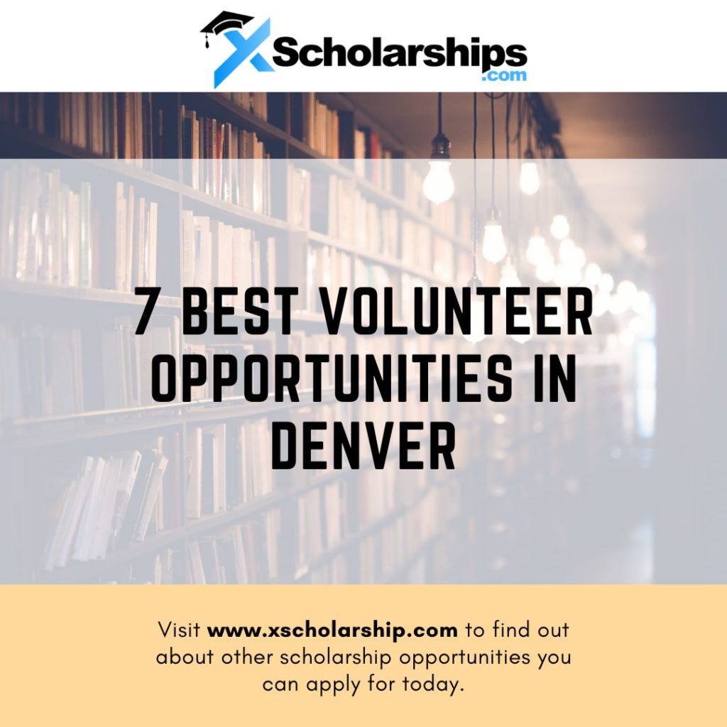 7 Best Volunteer Opportunities in Denver xScholarship
