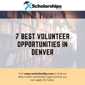 7 Best Volunteer Opportunities in Denver