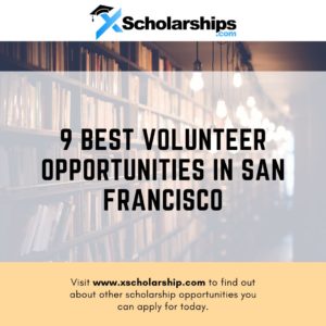 9 Best Volunteer Opportunities in San Francisco