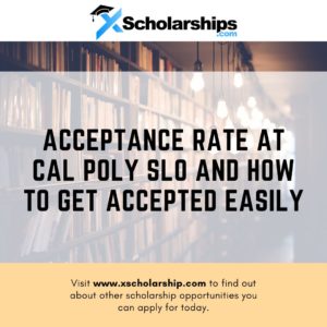 Acceptance Rate at Cal Poly SLO and How to Get Accepted Easily