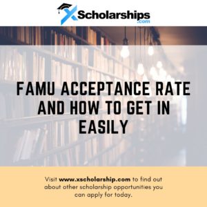 FAMU Acceptance Rate And How To Get In Easily