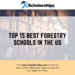Here Are the Top 15 Best Forestry Schools in the US