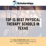 Here Are the Top 15 Best Physical Therapy Schools in Texas