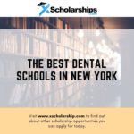 The Best Dental Schools in New York