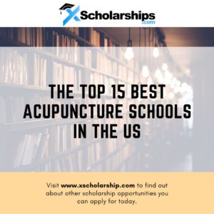The Top 15 Best Acupuncture Schools in the US