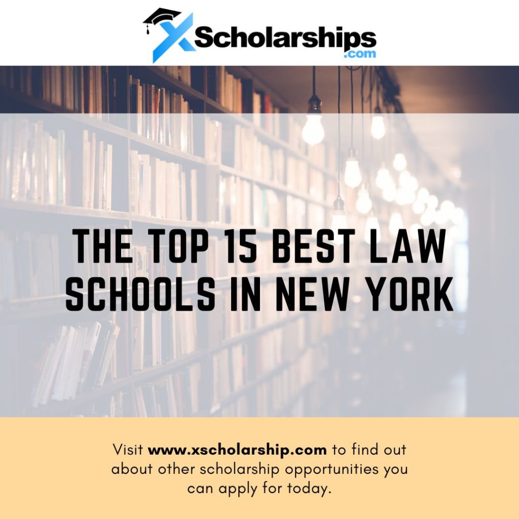 The Top 15 Best Law Schools in New York