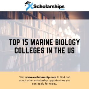 The top (15) Marine Biology Colleges in the US
